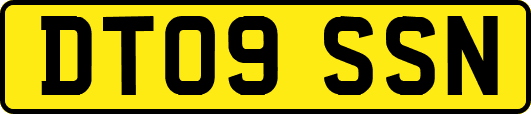 DT09SSN