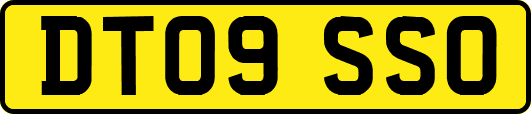 DT09SSO