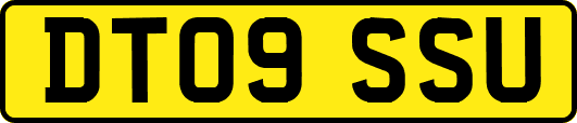DT09SSU