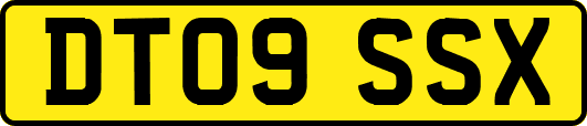 DT09SSX