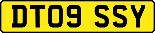 DT09SSY