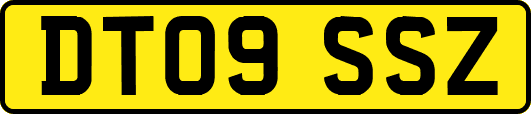DT09SSZ