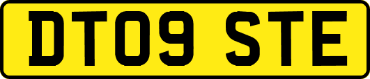 DT09STE