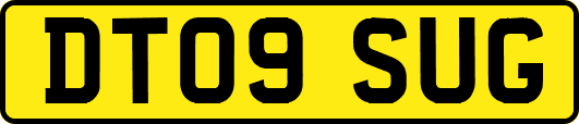 DT09SUG