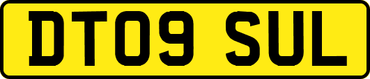 DT09SUL