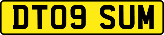 DT09SUM