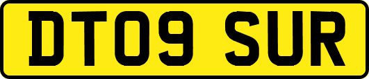 DT09SUR