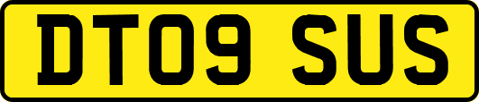 DT09SUS