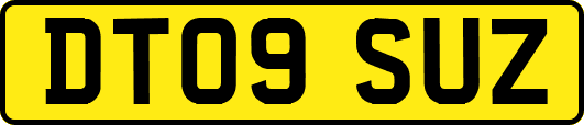 DT09SUZ