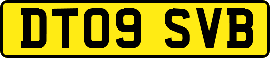 DT09SVB