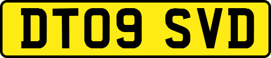 DT09SVD