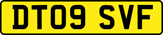 DT09SVF