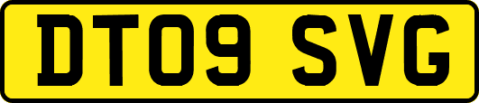 DT09SVG