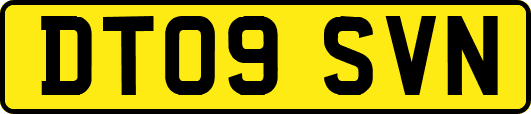 DT09SVN
