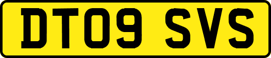 DT09SVS