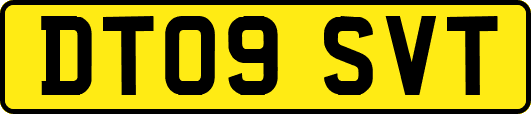 DT09SVT