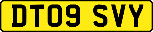 DT09SVY