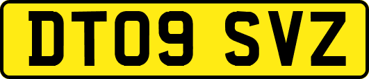 DT09SVZ