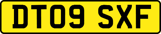 DT09SXF