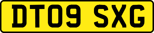 DT09SXG