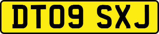 DT09SXJ