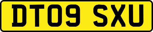 DT09SXU