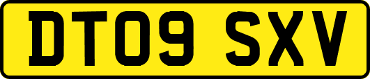 DT09SXV