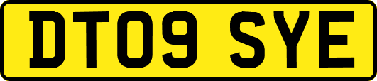 DT09SYE