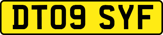 DT09SYF
