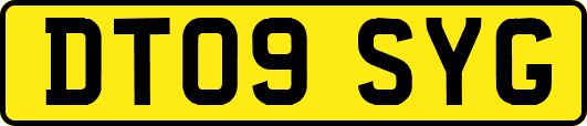 DT09SYG
