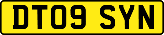 DT09SYN