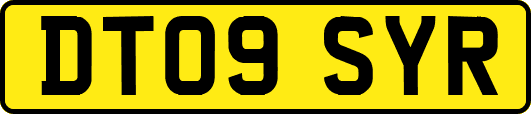 DT09SYR