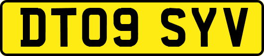 DT09SYV