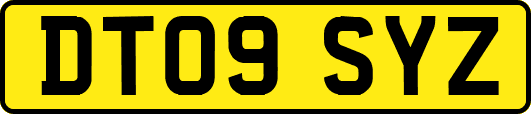 DT09SYZ