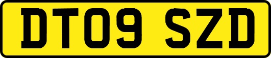 DT09SZD