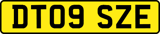 DT09SZE