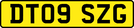 DT09SZG