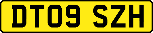 DT09SZH