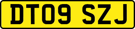 DT09SZJ