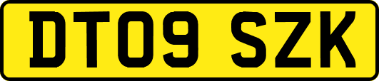 DT09SZK
