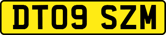 DT09SZM