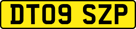 DT09SZP