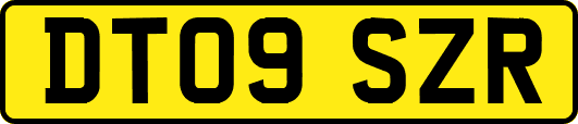 DT09SZR