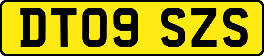 DT09SZS