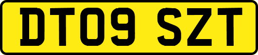 DT09SZT
