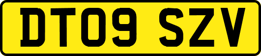 DT09SZV