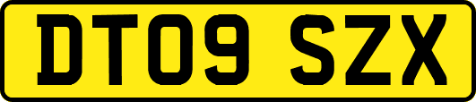 DT09SZX