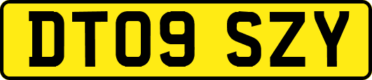 DT09SZY