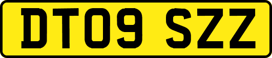 DT09SZZ