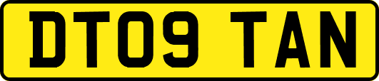 DT09TAN